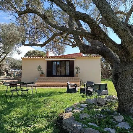 Maison Dans Les Oliviers *